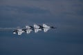 F-16C\'s of the US Airforce Thunderbirds at the Cleveland National Air Show 2023