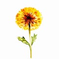 Watercolor Dandelion Clipart For A Bright And Cheerful Design AI Generated
