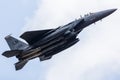 F-15E Strike Eagle fills the frame