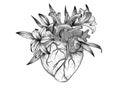 Vector realistic heart with lily flowers . Anatomy human organ image for t-shirt print Royalty Free Stock Photo