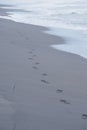 Footmarks on beach Royalty Free Stock Photo