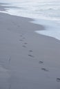 Footmarks on beach