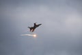 F16 Hellenic Air Force dropping flares during maneuvers over Kalamata during Air Force Celebration Royalty Free Stock Photo