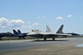 F22 Raptor and Blue Hornets Military Jets