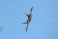 F-22 Raptor at Great New England Air Show