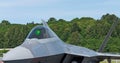 F22 Raptor headon with cockpit closeup standing in lush green background