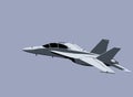 F-18F Super Hornet. Modern fighter jet.