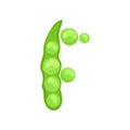 F veggie vegetable English alphabet letter made from green peas vector Illustration on a white background