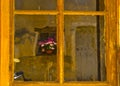 Reflected FaÃ§ade with wood door window and blooming flowers in Brantome en Perigord southwest France