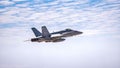 FA-18 Hornet of the Marine Fighter Attack Training Squadron 101 at an air demonstration