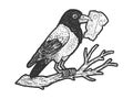 fable crow with cheese in its beak sketch vector