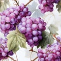 For fabric design or packard, a delicate seamless pattern in watercolour lavender grape