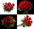 a set of four bouquets of roses of flowers on a white background, an isolated background,
