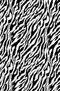 The fabric of motifs zebra