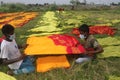 Fabric painting narayanganj Araihazar upaziila,