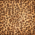Fabric pattern leopard pattern  texturefor background Royalty Free Stock Photo