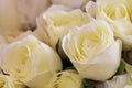 Fabric Roses Background Royalty Free Stock Photo