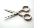 Fabric Scissors Isolated on White Royalty Free Stock Photo
