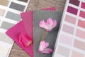 Fabric swatches designing Royalty Free Stock Photo