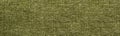 Fabric texture background. Green