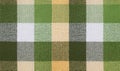 Fabric texture canvas. Cotton background. Detail close up for dress or other modern fashion textile print. Green and beige striped