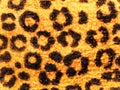 Fabric texture of leopard flowers with place for text Royalty Free Stock Photo