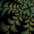 Fabulous asymmetrical pattern of the leaves on black background. Royalty Free Stock Photo
