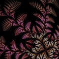 Fabulous asymmetrical pattern of the leaves on black background. Royalty Free Stock Photo