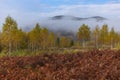 Fabulous autumn nature with yellow birches in the foreground. Autumn in the Carpathian mountains with fog and golden trees. Beauty Royalty Free Stock Photo