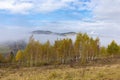 Fabulous autumn nature with yellow birches in the foreground. Autumn in the Carpathian mountains with fog and golden trees. Beauty Royalty Free Stock Photo