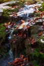 Stones waterfall reflection forest water autumn trees sun landscape yellow park leaves Royalty Free Stock Photo