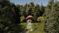 Fabulous beautiful mushroom house in field. Small house of gnome in form of mushroom on background of forest. 3d render