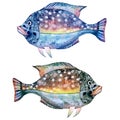 Fabulous blue fish. Watercolor on white background