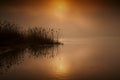 Fabulous,foggy,red sunrise over the river in summer.Horizontal. Royalty Free Stock Photo