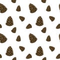 Fabulous forest cone. Seamless pattern. Vector Illustration Royalty Free Stock Photo