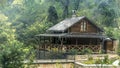 A fabulous house made of wooden logs and a shiny metal roof in thickets of trees