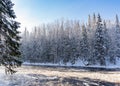 Fabulous winter forest. Stormy river sparkles in the rays of the winter sun Royalty Free Stock Photo