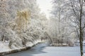 Fabulous landscape of winter forest. Frozen pond