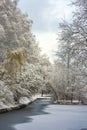 Fabulous landscape of winter forest. Frozen pond