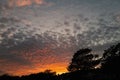 Fabulous mackerel sky sunset with trees and a chimney in silhouette and an interesting small section of low rain clouds Royalty Free Stock Photo