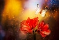 A fabulous magical photo of an exotic tropical flower of red amaryllis and fluttering butterflies. Royalty Free Stock Photo