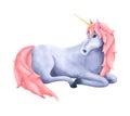 A fabulous magical unicorn painted in watercolor, isolated on a white background.