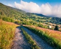 Fabulous morning scene of romanian countryside, Rogojel village location. Colorful summer landscape of Cluj County, Romania, Europ