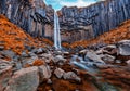 Fabulous morning view of Svartifoss Black Fall Waterfall. Colorful autumn scene of Skaftafell, Vatnajokull National Park, Icelan Royalty Free Stock Photo