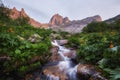 Fabulous mountain streams, lush greenery and flowers around. Thawed spring water from the mountains. Magical views of high Royalty Free Stock Photo