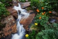 Fabulous mountain streams, lush greenery and flowers around. Thawed spring water from the mountains. Magical views of high Royalty Free Stock Photo