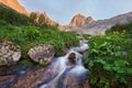 Fabulous mountain streams, lush greenery and flowers around. Thawed spring water from the mountains. Magical views of high Royalty Free Stock Photo