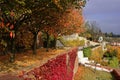 Fabulous multi-colored autumn garden