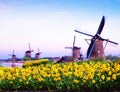 Fabulous mystical, stunning magical spring landscape with daffodils on the background of a cloudy sky in Kinderdijk, Netherlands.