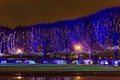 Fabulous Park with illuminated trees with benches